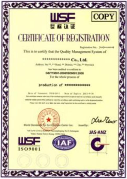 Chine GUANGZHOU DAXIN AUTO SPARE PARTS CO., LTD certifications
